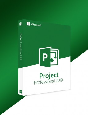 Microsoft Project 2019...