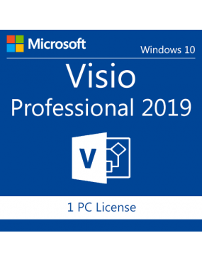 MS VISIO PROFESSIONAL 2019 ESD