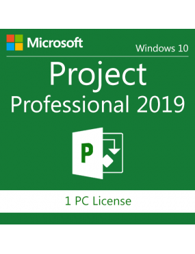 MS PROJECT PROFESSIONAL...