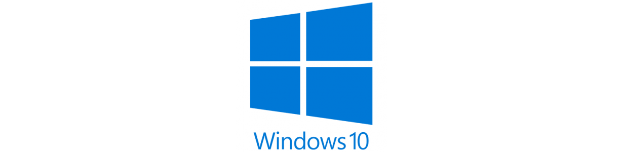 WINDOWS 10 